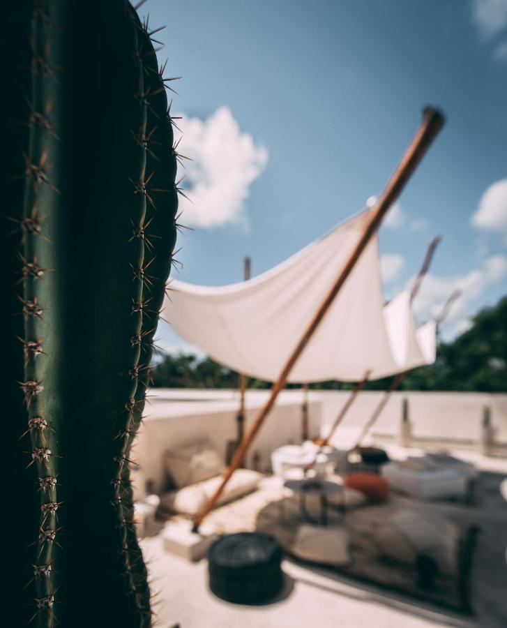 Ambre&Epices Jungle Hotel&Spa Tulum Exterior foto